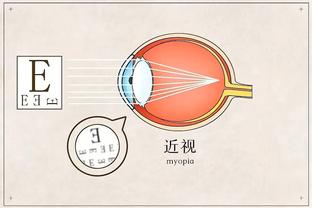 开云app官网手机版